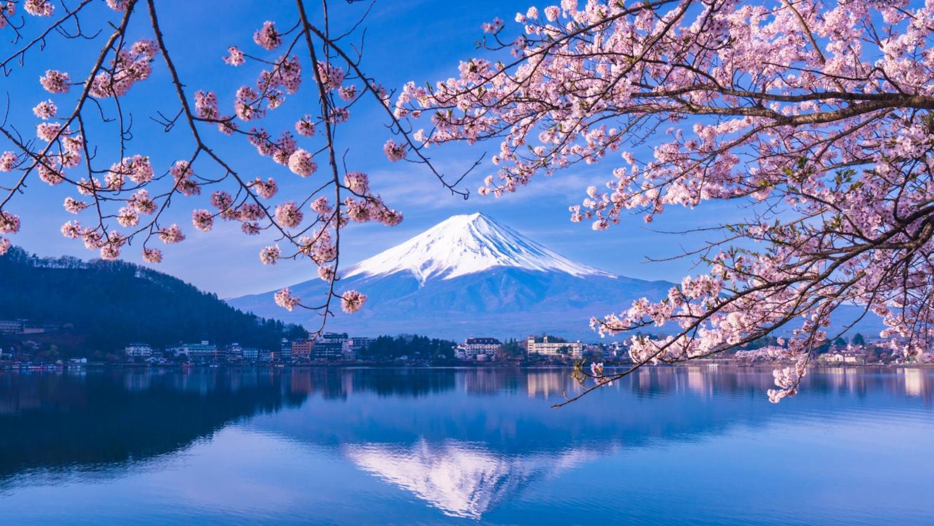 Fuji Fumoto Forest Hotspring ふもとの森温泉 Fujikawaguchiko Exteriör bild