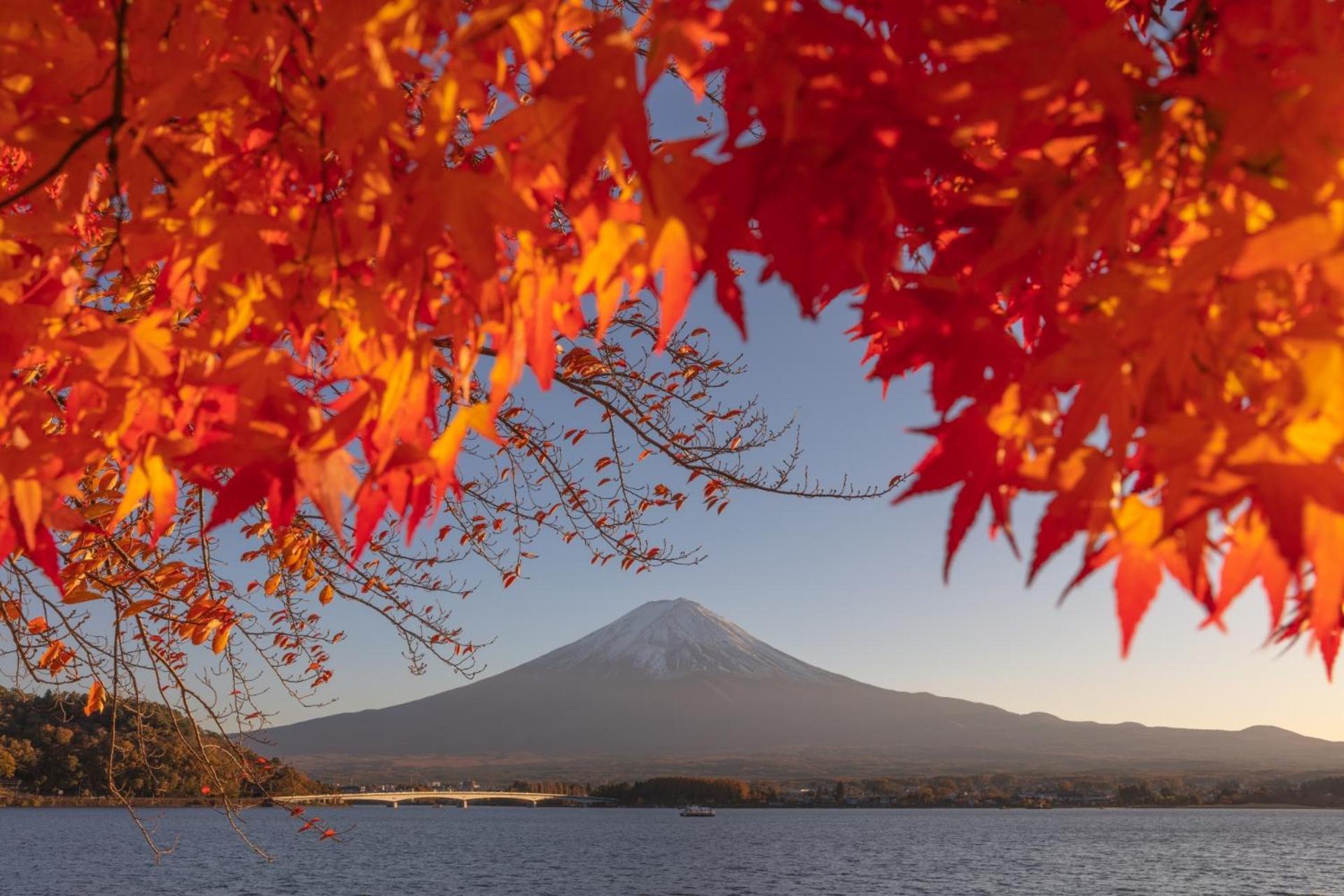 Fuji Fumoto Forest Hotspring ふもとの森温泉 Fujikawaguchiko Exteriör bild